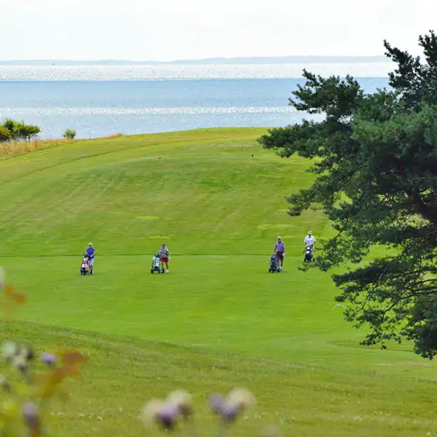 Den grønne golfbane Den grønne golfbane