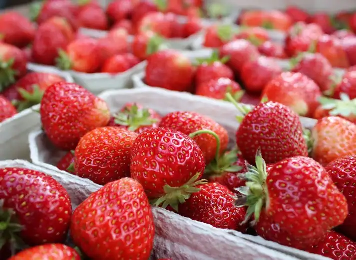 Smagen af Samsø Smagen af Samsø